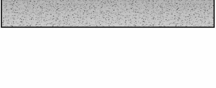 A Bad Person Chap 62 - Next Chap 63