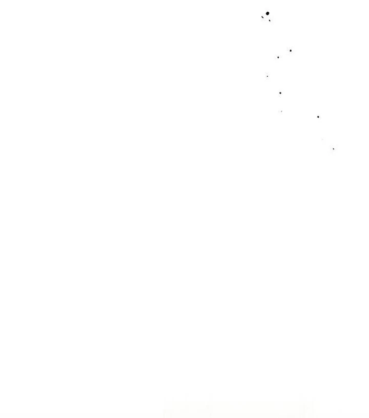 Tears on a Withered Flower Chap 53 - Next Chap 54