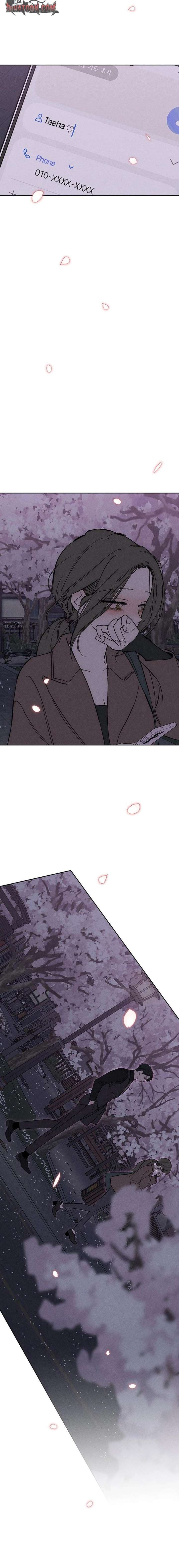 Tears on a Withered Flower Chap 96 - Next Chap 97