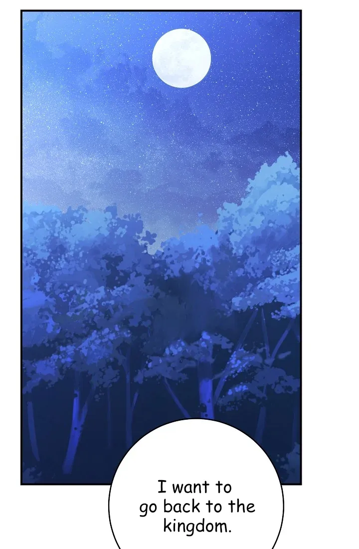 A Lonely Princess Falls In Love With A Misanthropic Emperor Chap 11.5 - Next Chap 12.5