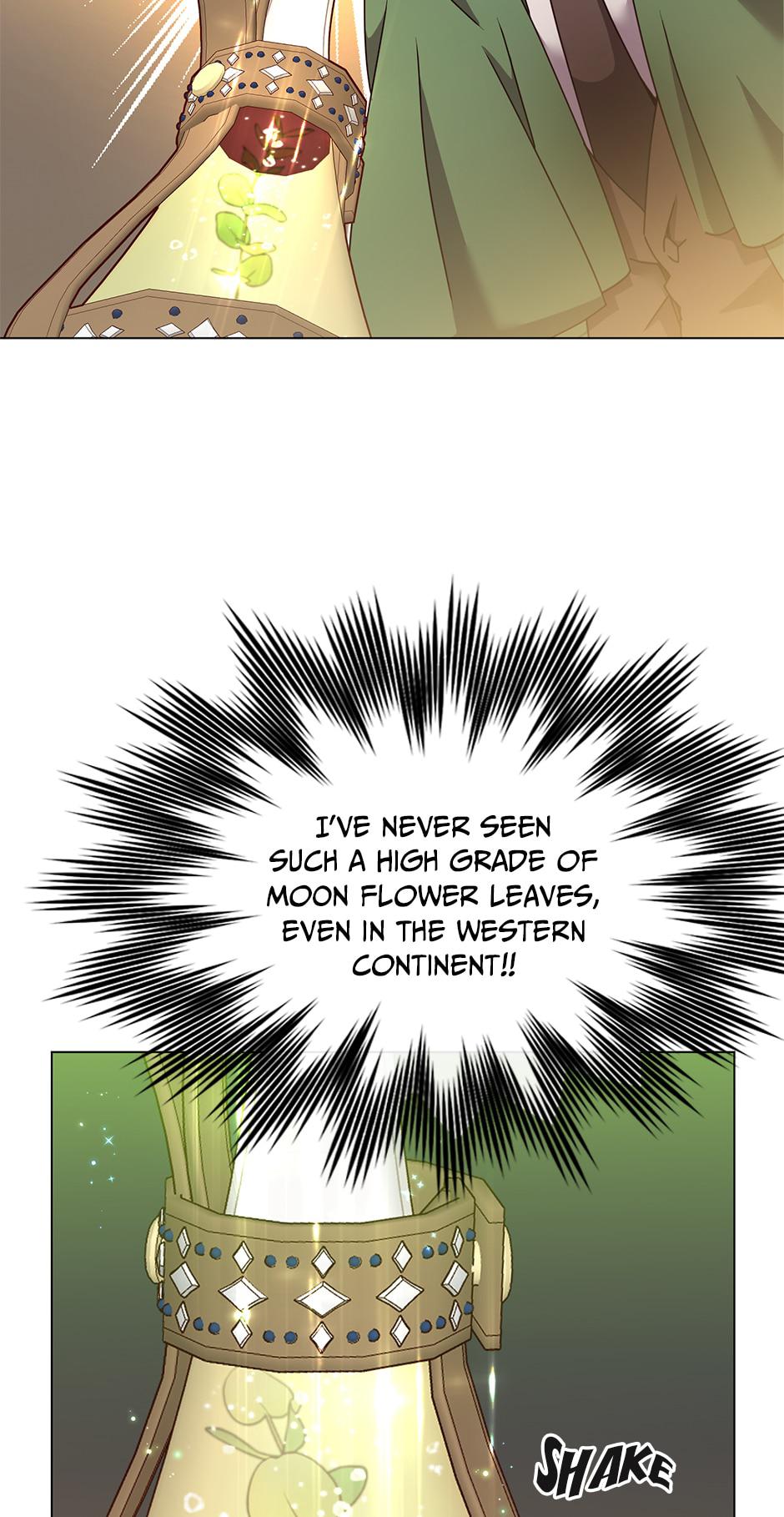 The Max Level Hero has Returned! Chap 40 - Next Chap 41