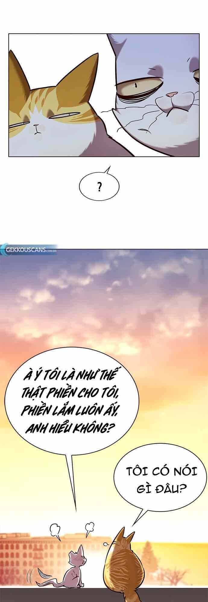Hoá Thân Thành Mèo Chap 232 - Next Chap 233