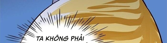 Hoá Thân Thành Mèo Chap 41 - Next Chap 42