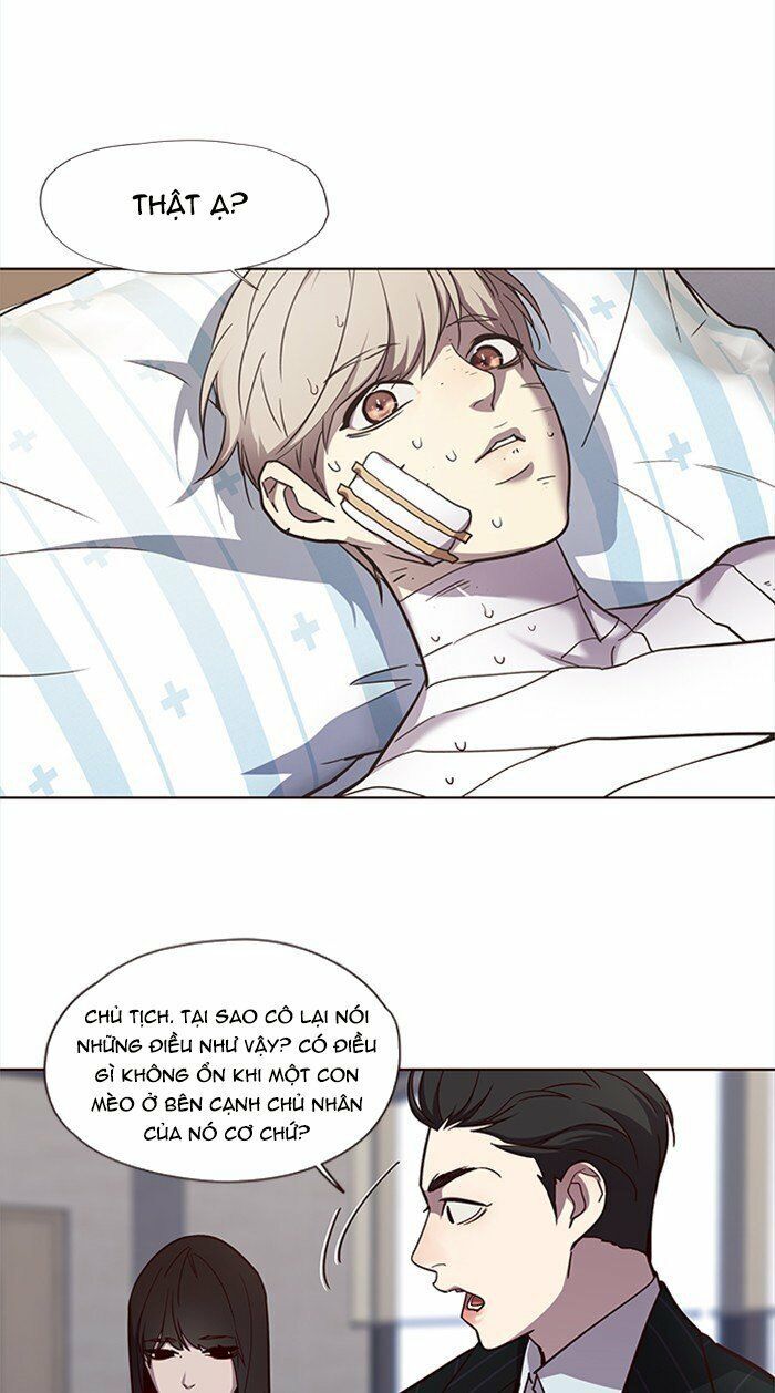 Hoá Thân Thành Mèo Chap 28 - Next Chap 29