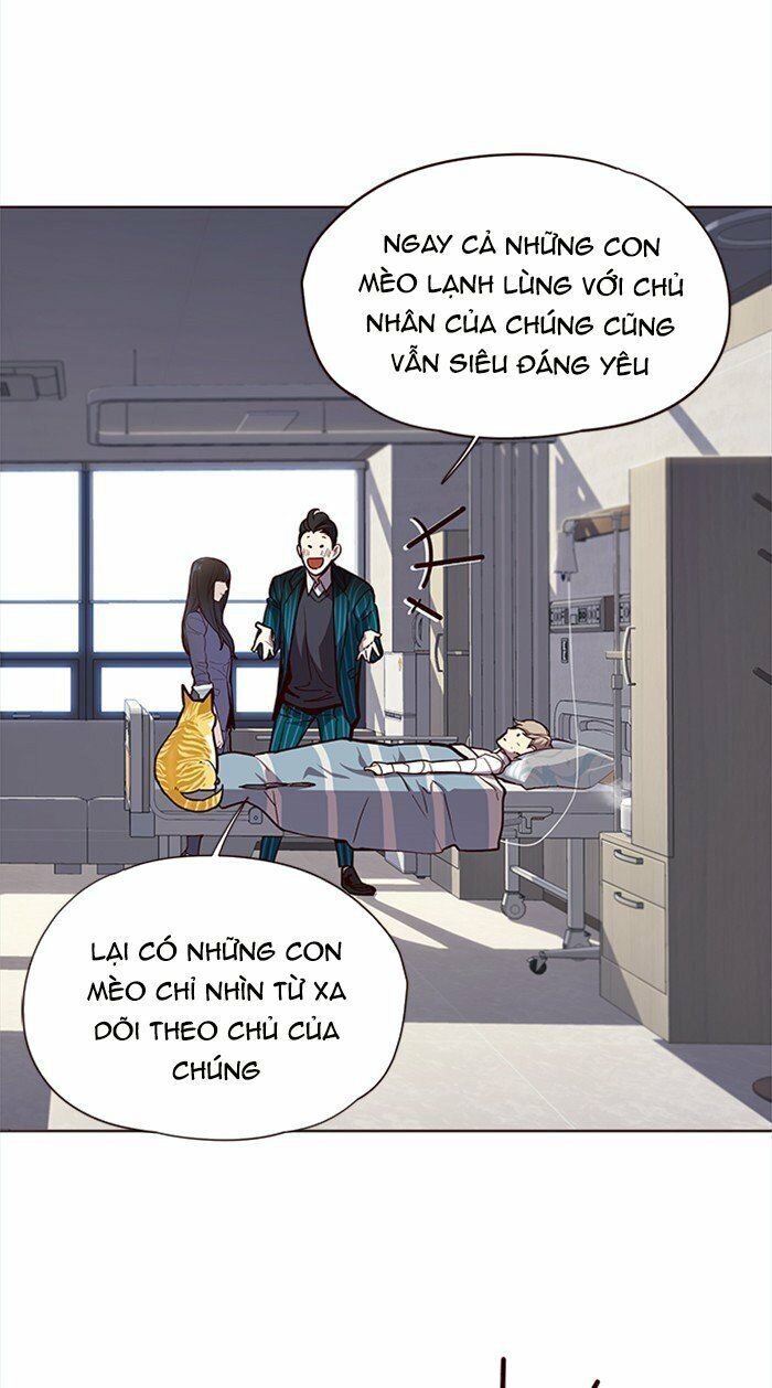Hoá Thân Thành Mèo Chap 28 - Next Chap 29