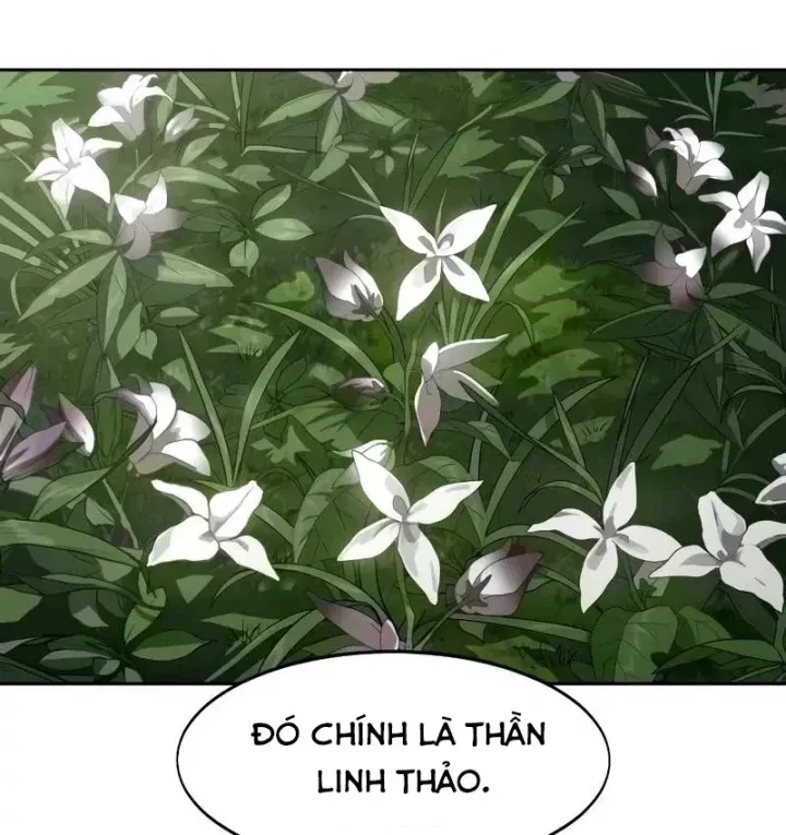 Hoa Sơn Tái Xuất | Hoa Sơn Tái Khởi Chap 166 - Next Chap 167