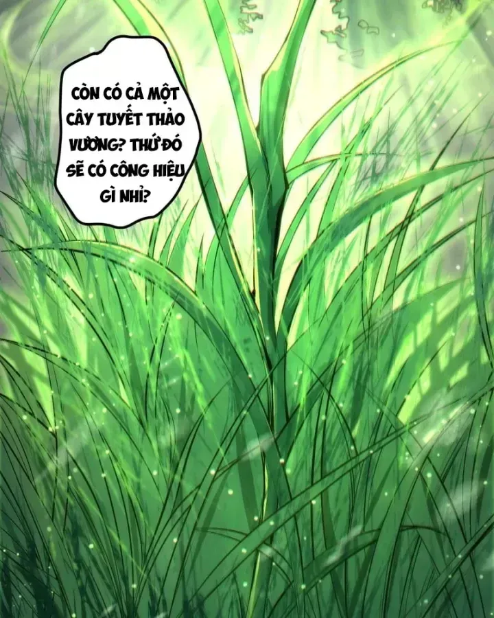 Thảm Họa Tử Linh Sư Chap 274 - Next Chap 275