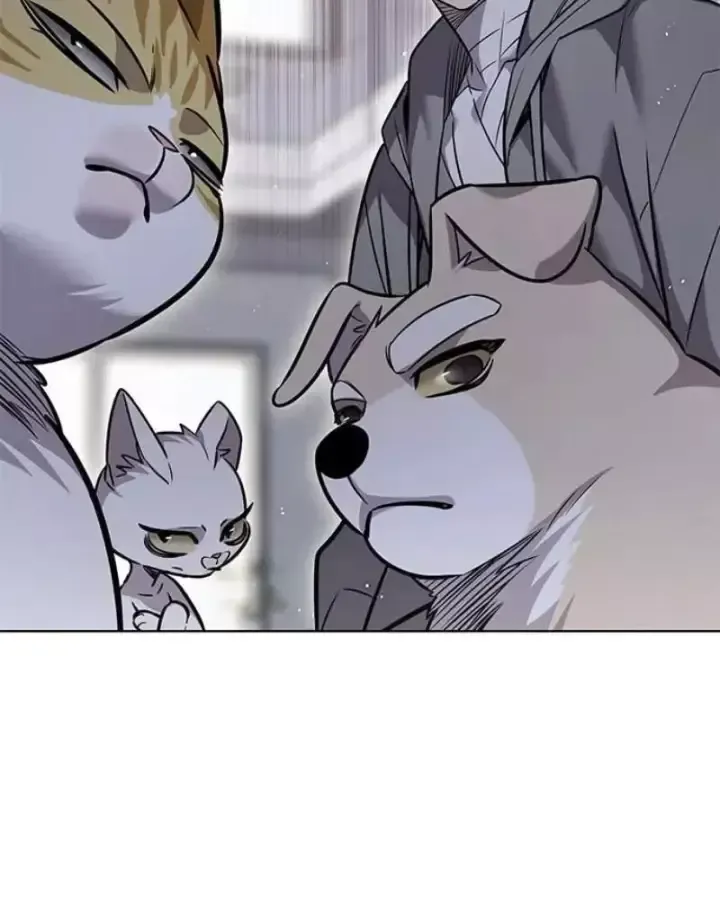 Hoá Thân Thành Mèo Chap 406 - Next Chap 407