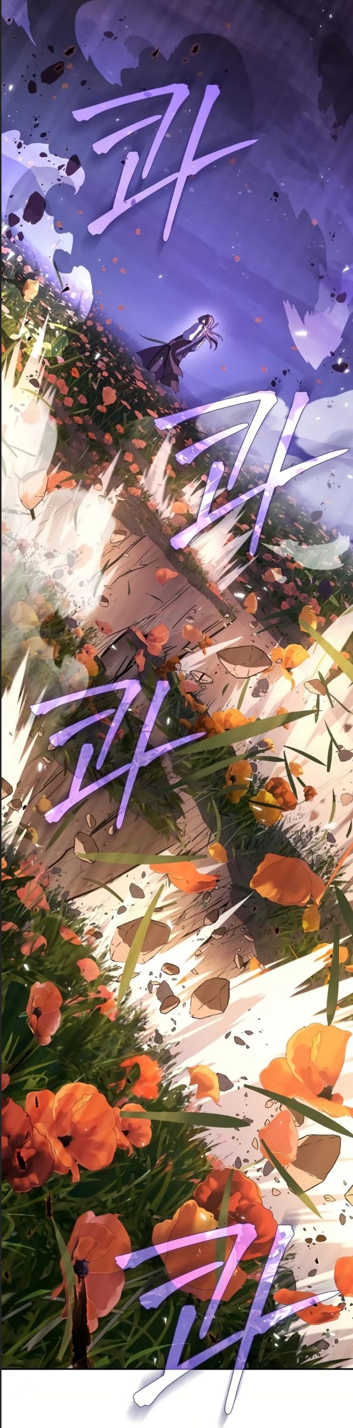 Tuyệt Thế Quân Lâm Chap 10 - Next Chap 11